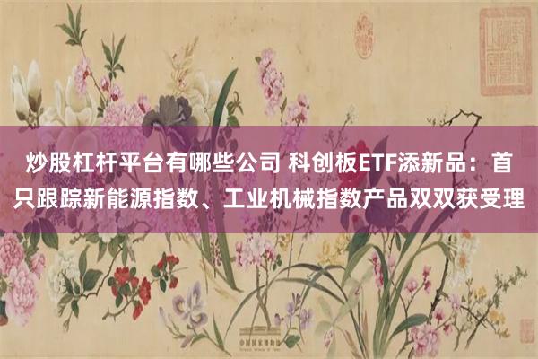 炒股杠杆平台有哪些公司 科创板ETF添新品：首只跟踪新能源指数、工业机械指数产品双双获受理