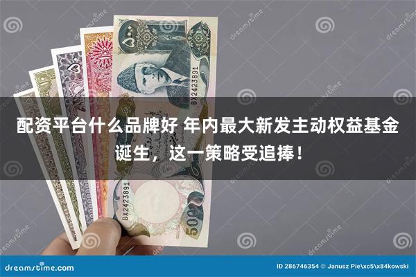 配资平台什么品牌好 年内最大新发主动权益基金诞生，这一策略受追捧！