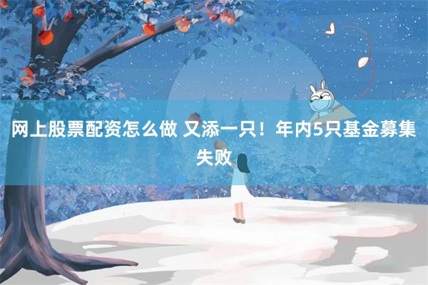 网上股票配资怎么做 又添一只！年内5只基金募集失败