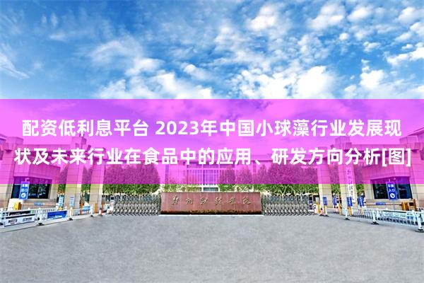 配资低利息平台 2023年中国小球藻行业发展现状及未来行业在食品中的应用、研发方向分析[图]