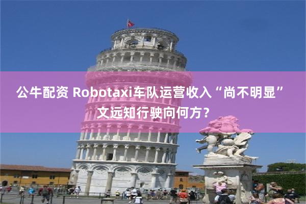 公牛配资 Robotaxi车队运营收入“尚不明显” 文远知行驶向何方？