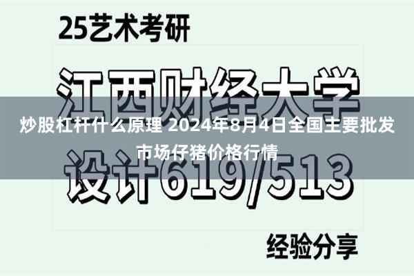 炒股杠杆什么原理 2024年8月4日全国主要批发市场仔猪价格行情