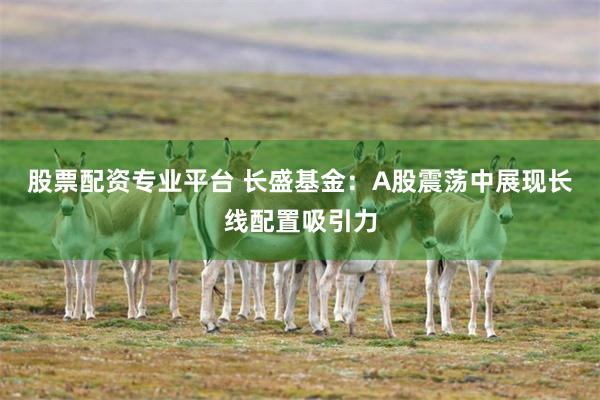 股票配资专业平台 长盛基金：A股震荡中展现长线配置吸引力