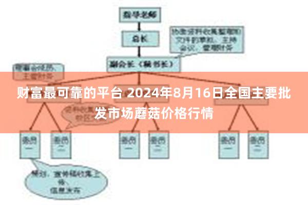 财富最可靠的平台 2024年8月16日全国主要批发市场蘑菇价格行情