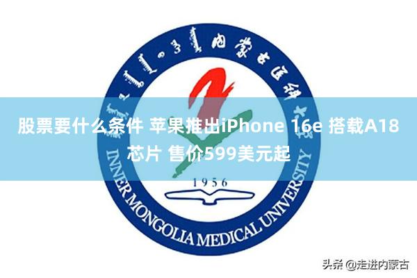 股票要什么条件 苹果推出iPhone 16e 搭载A18芯片 售价599美元起