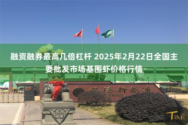 融资融券最高几倍杠杆 2025年2月22日全国主要批发市场基围虾价格行情