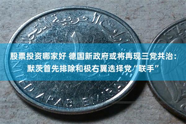 股票投资哪家好 德国新政府或将再现三党共治：默茨首先排除和极右翼选择党“联手”