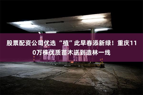 股票配资公司优选 “植”此早春添新绿！重庆110万株优质苗木送到造林一线