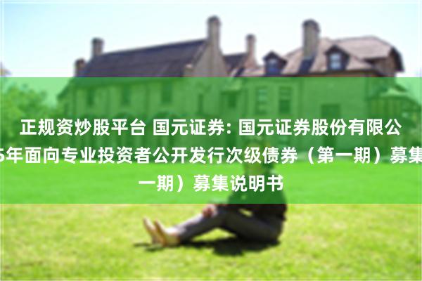 正规资炒股平台 国元证券: 国元证券股份有限公司2025年面向专业投资者公开发行次级债券（第一期）募集说明书