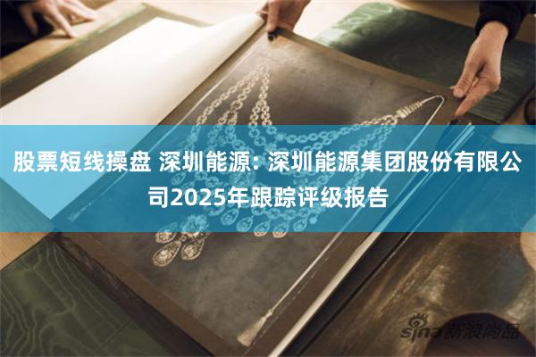 股票短线操盘 深圳能源: 深圳能源集团股份有限公司2025年跟踪评级报告